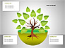 Tree Diagrams slide 8