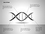 DNA Strand Diagrams slide 6