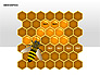 Bee Diagrams slide 1