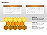Bee Diagrams slide 12