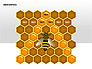 Bee Diagrams slide 2