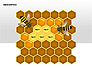 Bee Diagrams slide 3