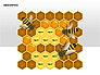 Bee Diagrams slide 4