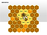 Bee Diagrams slide 6