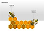Bee Diagrams slide 7