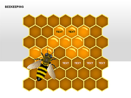 Bee Diagrams Presentation Template, Master Slide