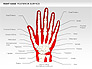 Right Hand Diagram slide 1