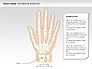 Right Hand Diagram slide 11