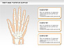 Right Hand Diagram slide 24