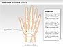Right Hand Diagram slide 6