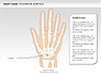 Right Hand Diagram slide 9
