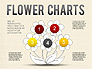 Flower Chart slide 1