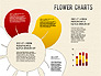 Flower Chart slide 12