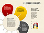 Flower Chart slide 13