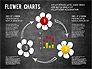 Flower Chart slide 15