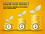 Growth of Money Diagram slide 11