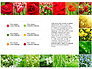Data Driven Slides with Flowers slide 5