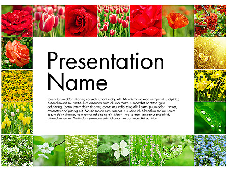 Data Driven Slides with Flowers Presentation Template, Master Slide
