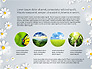 Nature Conservancy Presentation Report slide 1