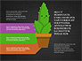 Growing Plant Presentation Concept slide 14