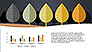 Growth of Tree Stages Diagram Concept slide 10