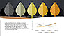 Growth of Tree Stages Diagram Concept slide 13