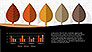 Growth of Tree Stages Diagram Concept slide 2