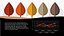 Growth of Tree Stages Diagram Concept slide 5