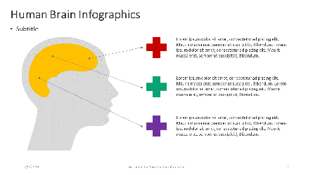 Human Brain Infographic Presentation Template, Master Slide