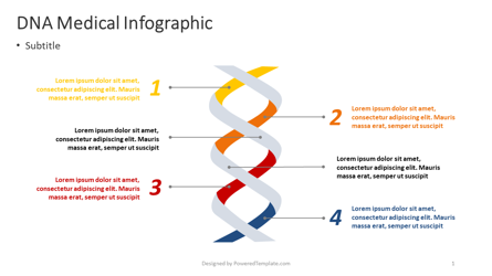 DNA Medical Infographic Presentation Template, Master Slide