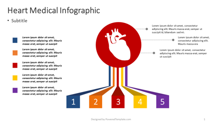 Human Heart Medical Infographic Presentation Template, Master Slide