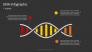 DNA Infographic slide 2
