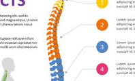 Human Spine Infographic