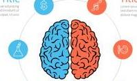 Hemispheres of Brain Infographic