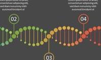 DNA Timeline Infographic