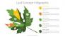 Leaf Concept Infographic slide 1