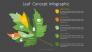 Leaf Concept Infographic slide 2