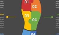 Shoe Sole Infographic