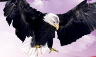 American Eagle Presentation Template