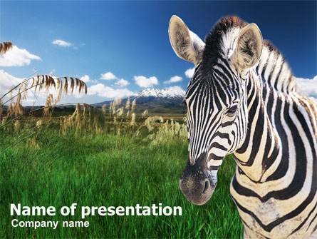 Zebra On A Green Savanna Presentation Template, Master Slide