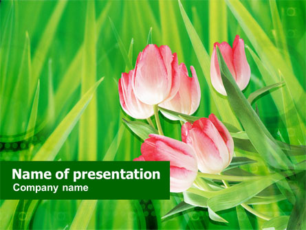 Light Pink Colored Tulips Presentation Template, Master Slide