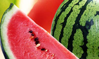 Watermelon Presentation Template
