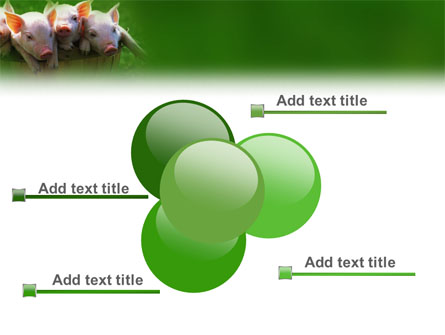 pig powerpoint template free download
