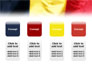 Belgian Flag slide 5