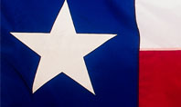 Flag of Texas Presentation Template