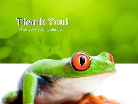 Tropical Green Frog Presentation Template For PowerPoint And Keynote ...