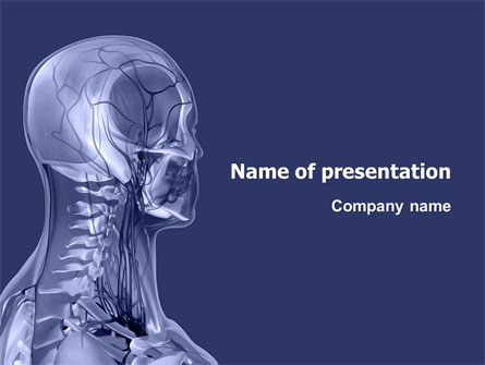 PPT - Shoulder Girdle PowerPoint Presentation, free download - ID