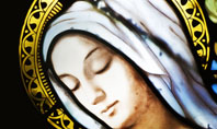 Virgin Mary Presentation Template