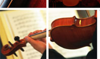 Violin Collage Presentation Template