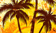 Palm Trees Presentation Template